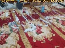 赤峰蒸汽清洗床墊廠家電話號碼