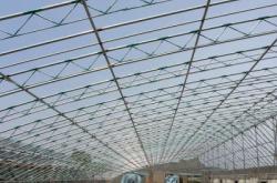 赤峰平莊徐家大棚電話號碼查詢