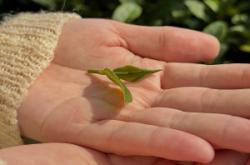 赤峰森野露營(yíng)基地電話號(hào)碼