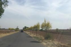 赤峰皓影車隊(duì)電話號(hào)碼查詢