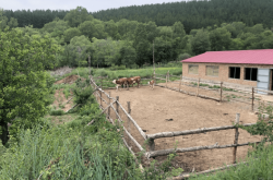 赤峰榮安養(yǎng)老院電話號碼