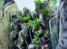 赤峰水陸缸景觀定制電話號碼