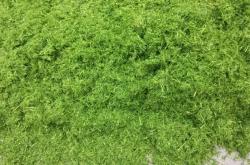 赤峰玉米柔絲加工廠電話號碼