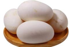 赤峰市出售鵝蛋店地址電話號(hào)碼