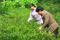 赤峰快樂燕子超市電話地址