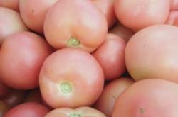 赤峰林西果園電話(huà)多少號(hào)