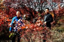 赤峰楓林花坊電話號(hào)碼多少