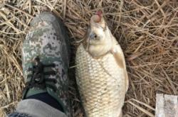 赤峰市大板垂釣園電話號(hào)碼