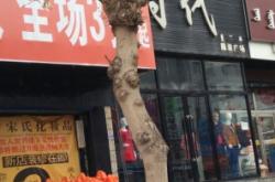 赤峰平價服裝店地址電話號碼