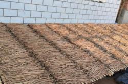 赤峰牛膝種植合作社電話號碼