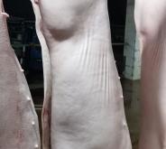 赤峰白條豬肉批發(fā)電話號碼