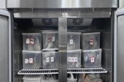 赤峰后廚團(tuán)購電話地址查詢號(hào)碼