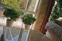 赤峰共享鞋柜電話地址是多少號