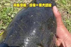 赤峰市釣黑魚地點(diǎn)電話是多少