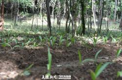 赤峰時興農(nóng)具專賣店電話號碼