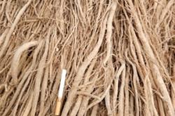 赤峰干貨收購(gòu)電話(huà)號(hào)碼查詢(xún)地址