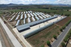 赤峰林西兒童樂園電話號(hào)碼