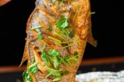 赤峰寶剛餐廳電話號碼查詢