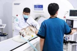 赤峰萌寵互動館電話地址查詢