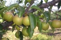 赤峰市喀喇沁旗編辦電話號(hào)碼