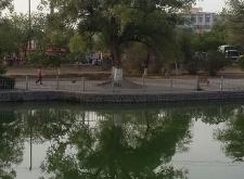 赤峰紅山區(qū)大成駕校電話號(hào)碼