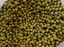 赤峰優(yōu)質(zhì)鋼丸直銷電話號(hào)碼