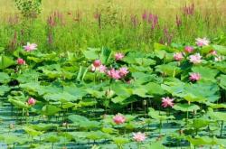 赤峰驕陽財務(wù)公司地址電話號碼