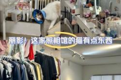 赤峰貓貓照相館地址電話號(hào)碼