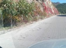 沈陽至赤峰托運部電話號碼