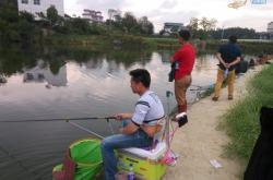 赤峰市釣魚直播平臺電話號碼