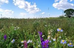 赤峰市白云花煤礦電話號碼