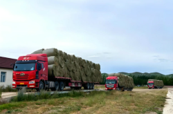 赤峰30萬機組電廠電話號碼