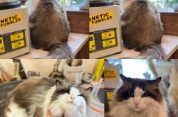 赤峰銀飾 店鋪電話號(hào)碼查詢