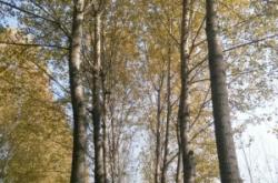 赤峰市金信駕校電話地址