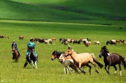 赤峰動物防疫辦咨詢電話是多少