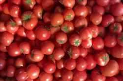 赤峰市賣米粉的地方電話號(hào)碼