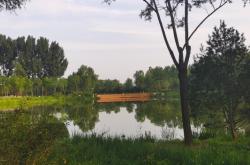 赤峰東郊拉絲廠電話多少號