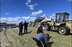 赤峰收玉米的聯(lián)系方式