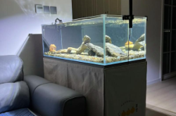 赤峰賣二手魚缸電話號碼