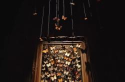 赤峰藍磨房酒吧電話多少號