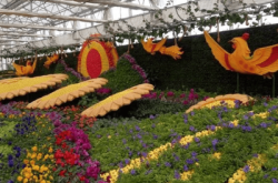 赤峰采摘園在什么地方