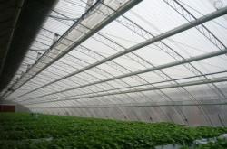 赤峰旋切板廠地址電話號(hào)碼