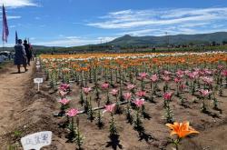 赤峰寶民藥材經(jīng)銷處電話號碼