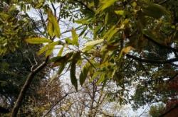 赤峰市小橘子攝影電話號(hào)碼