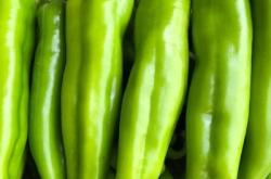 赤峰辣椒烘干廠電話號(hào)碼查詢