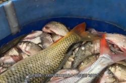 赤峰市場(chǎng)賣豬肉的電話號(hào)碼