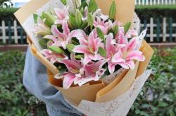 赤峰錦山鮮花店電話多少