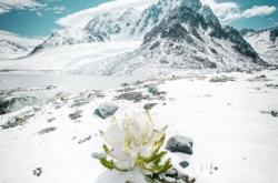 赤峰市仁立雪蓮