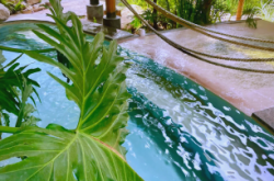 赤峰硫磺泉溫泉電話號(hào)碼查詢