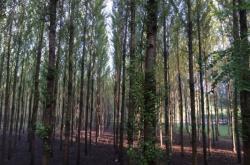 赤峰回寧城路況查詢電話是多少